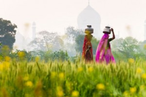 peter-adams-g-india